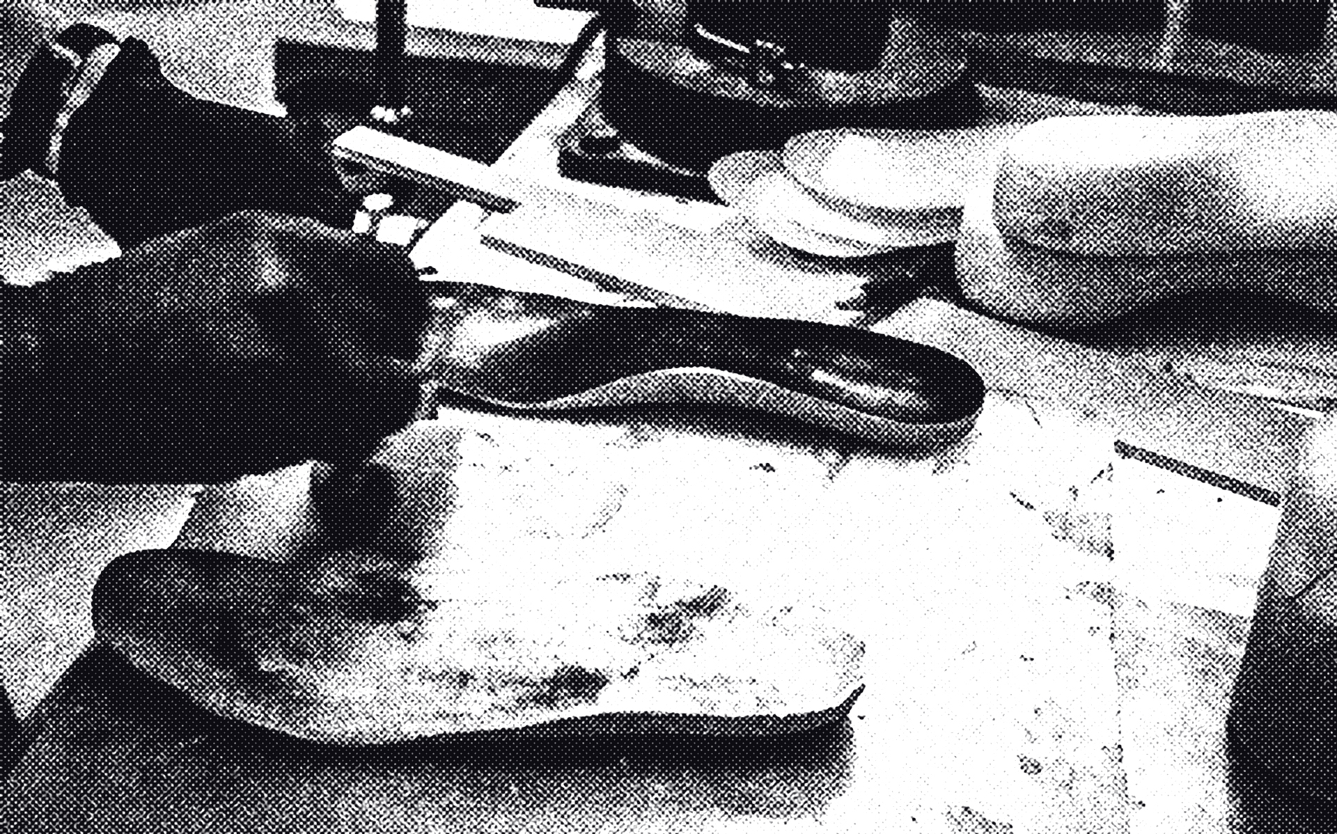 Schuheinlagenreinigung